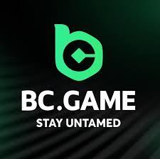 Exploring the Exciting World of BC.Game Hub -203286764